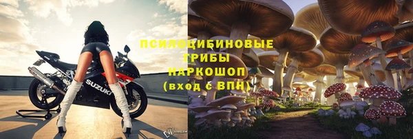 круглые Новозыбков