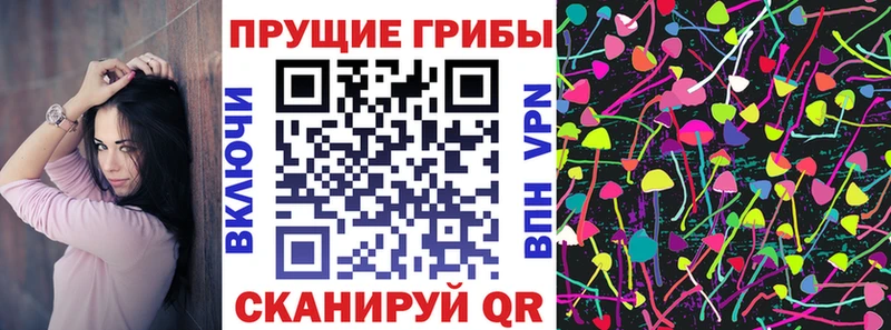 Купить закладки  Кувандык  Галлюциногенные грибы GOLDEN TEACHER 